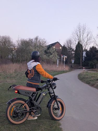Ebike Chopper