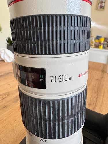 Canon EOS 6D + EF 70-200 f4 IS