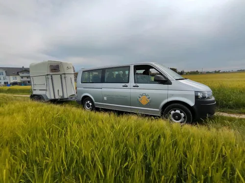 PKW mit Pferdeanhänger Pferdetransporter