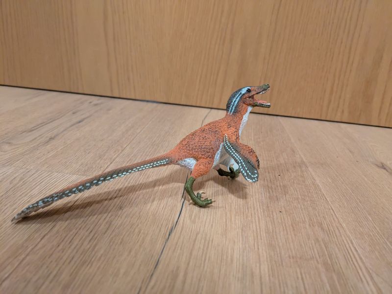 Velociraptor gefedert II