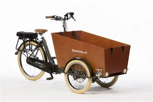 Lastenrad Bakfiets CargoTrike Cruiser Narrow E-Bike 