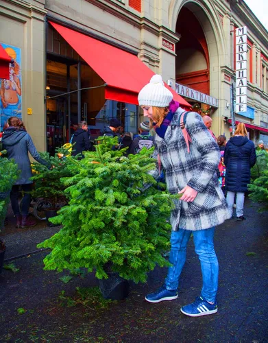 Weihnachtsbaum im 10l Topf