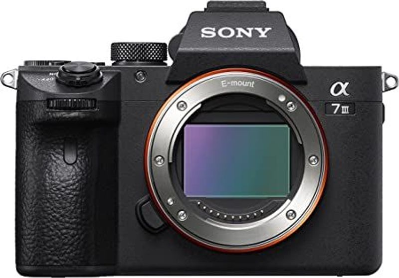 Sony Alpha 7 III body