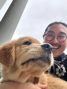 Product owner's thumbnail