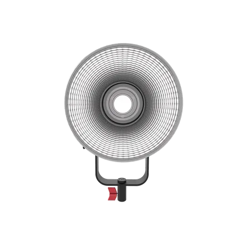 Aputure LS C300D MKII V-Mount Kit