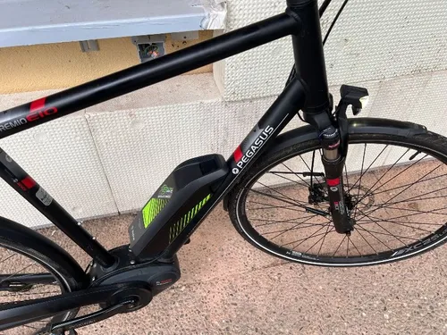 E bike pegasus 