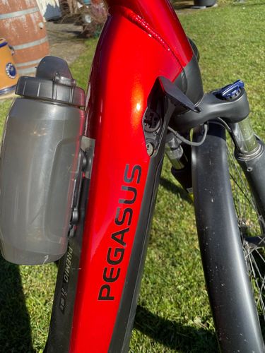E-Bike Pegasus / Bosch Akku, Gepäckträger & Tachometer