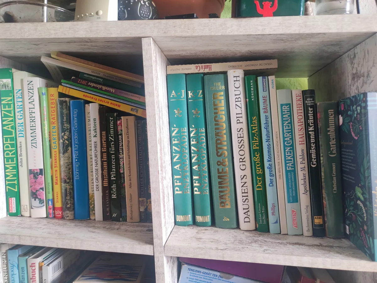 KRÄUTERHEXE, Pflanzen, Heilung BAÜME, HANF, STREUCHER Pilze,PALMEN KAKTEEN, BLUMEN Fachliteratur