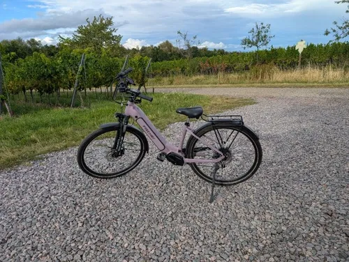 FISCHER E-Bike City 3.3I 630 43, Elektrofahrrad für Damen