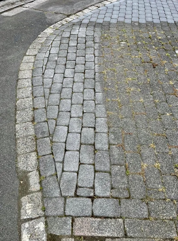 Wildkrautentferner AS 30 WeedHex 140