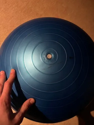 Ergonomischer Ball (ergonomic ball) John 55 cm 