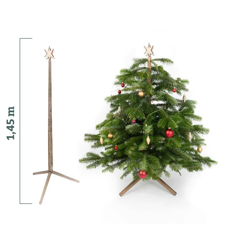 Keinachtsbaum