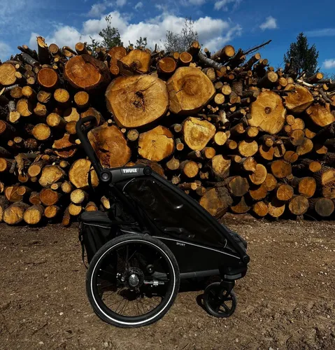 Thule Sport Fahrradanhänger Kinder