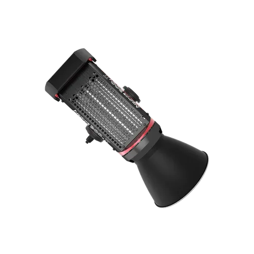 Aputure LS C300D MKII V-Mount Kit