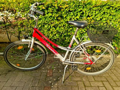 Fahrrad Citybike