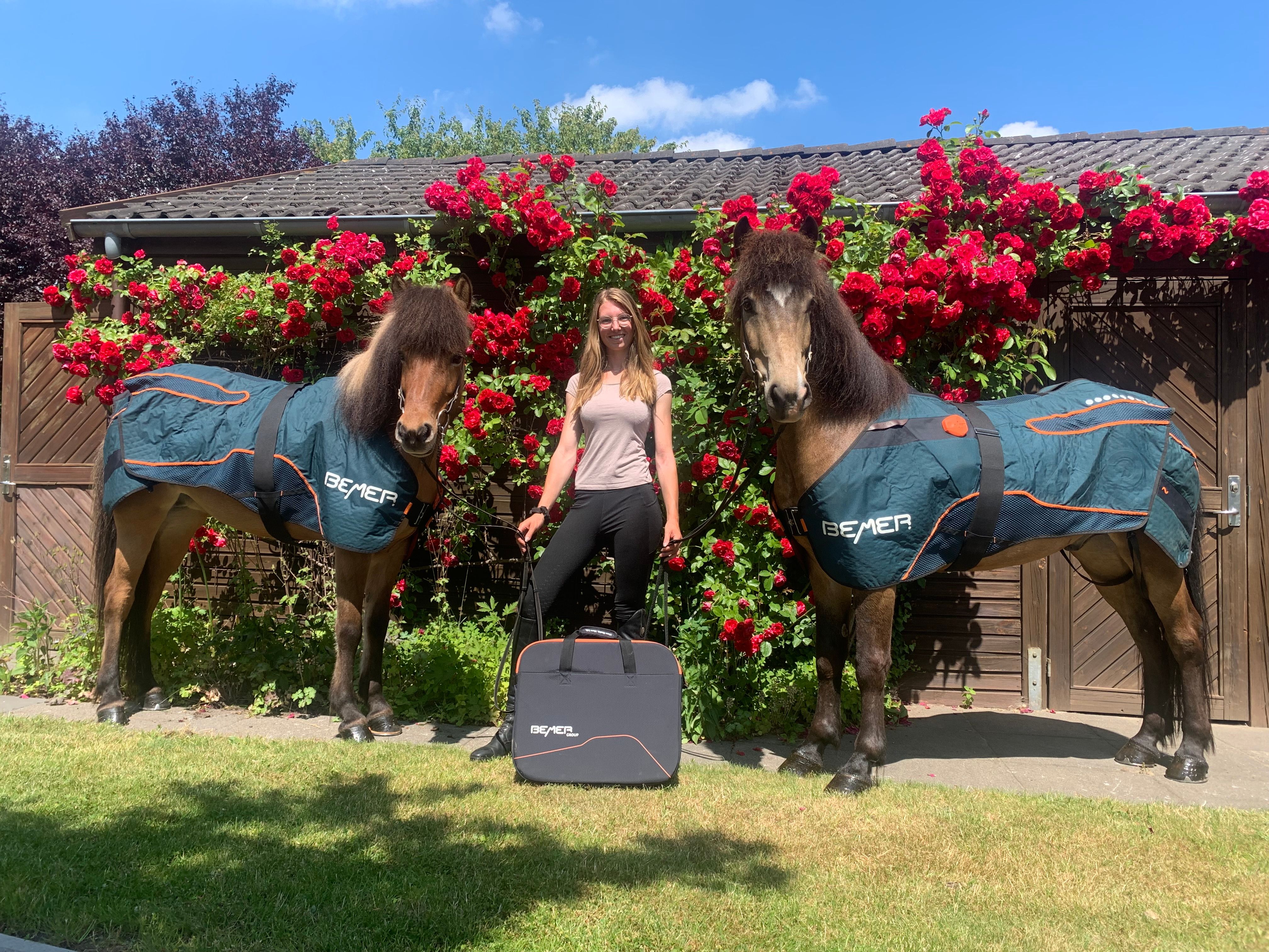 Bemer Horse Set