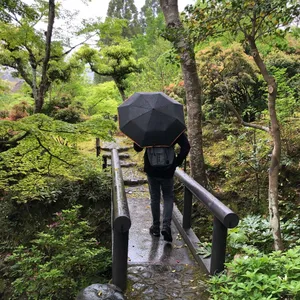 Owner profile avatar