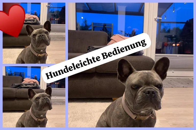 Stylische und moderne Fotobox für Dein Event 🎉📸