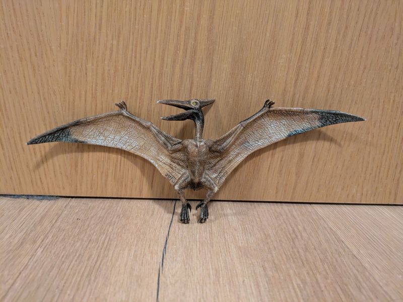 Pteranodon