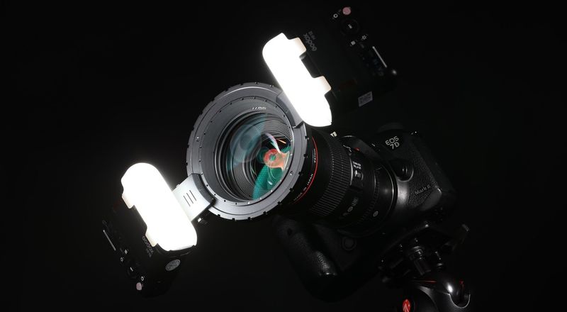 Canon EOS 7D Mark II + Canon EF 100mm f/2.8L Macro IS SET