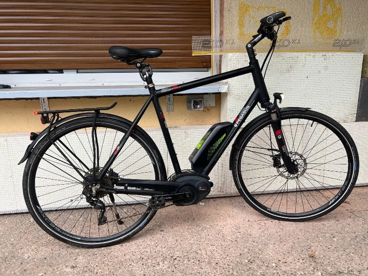 E bike pegasus 